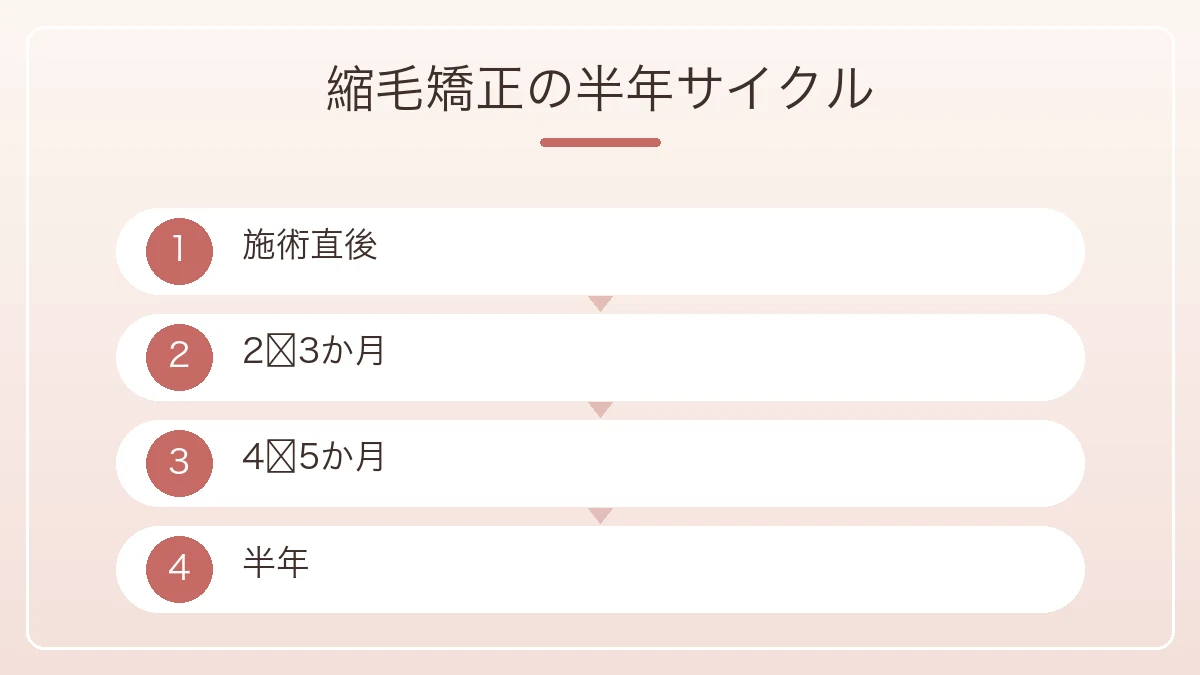 縮毛矯正の半年サイクルを施術直後から次の施術までの4段階で示した図解